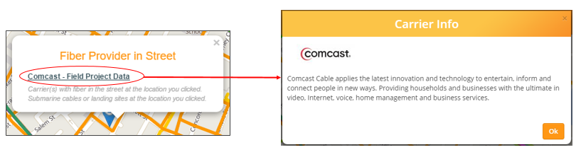 Fiber Provider in Street Info