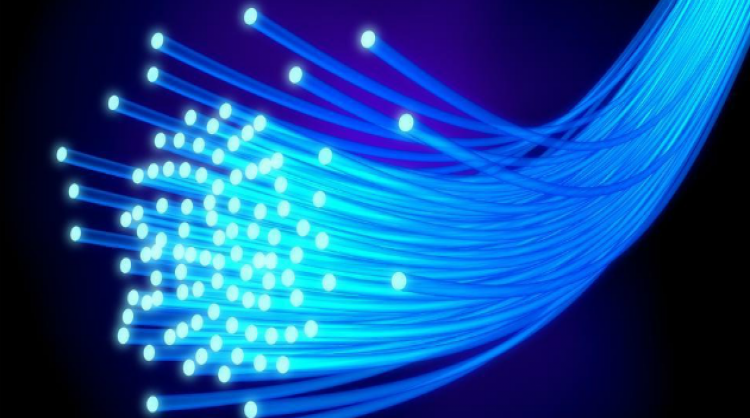 Fiber